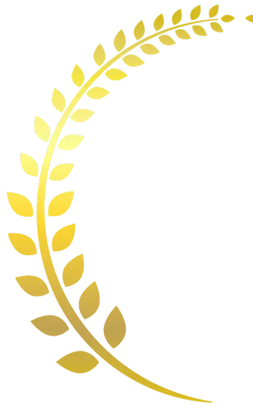 趣味人　 趣味人倶楽部（しゅみーとくらぶ） | 趣味でつながる、仲間ができる