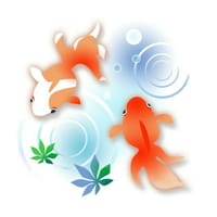 はんちゃん＋＋＋